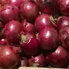 Semillas de Cebolla Roja 5g Cebolla Roja Morada de Montón Alto Semillas de Cebolla Roja Fácil de Cultivar Semillas de Verdura para Todas las Estaciones