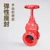 Válvula de compuerta con vástago ascendente Z41X, Hierro dúctil, Conexión brida, Sello elastomérico, Sello blando, Válvula de agua manual industrial