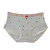 Ropa interior de algodón puro para mujer, nuevo estilo 2026, grado 10A, 100% algodón, antibacteriana, con fuelle extendido, estampado de leopardo dulce y tejido hipoalergénico, bragas tipo triángulo para mujer