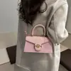 Bolsos de Diseño Nicho para Mujer 2025 Invierno Nuevo Estilo de Moda Bolso Cuadrado Pequeño Francés Textura Bolso de Hombro Único Cruzado