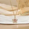 [Acero de Titanio] Collar con Microincrustaciones de Cobre para Mujer, Cadena Sencilla para Clavícula Exquisita con Microincrustaciones de Cobre Electrochapado en Oro Real, Celebridad de Internet