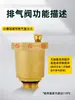 Válvula Baizhan Válvula de Purga Automática de Cobre para Calentadores Solares de Agua, Radiadores, Tuberías de Agua, Calefacción por Suelo Radiante y Calderas de Pared