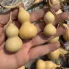 2026 Calabaza Cabeza de Dragón Calabaza Pequeña Enrollada a Mano Hierba Americana Calabaza Pequeña Dorada Venta al por Mayor y al por Menor Calabaza de Boca Abierta
