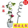 Suporte de Flores Suporte para Trepadeiras Suporte para Flores Clematis Rosa Suporte Fixo para Plantas de Trepar em Vasos Suporte de Haste para Flores de Interior