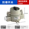 Interruptor a Prueba de Explosiones Zhenggong Control Único Control Dual Enchufe Industrial a Prueba de Explosiones Interruptor de Pared 220V Luz de Apertura Simple y Doble Oculto Impermeable