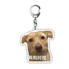 Un compañero de clase me dio un llavero de meme de Shiba Inu, un colgante de llavero acrílico, un artículo creativo y divertido.