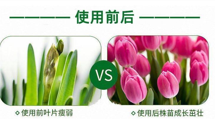 微信图片_20250322170355.jpg