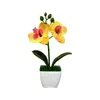 Mini 3 orquídeas artificiales Phalaenopsis en macetas aterciopeladas, suministro de exportación directa, flores artificiales de tacto realista, bonsái, accesorios para fotografía