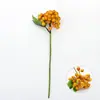 Europa y Estados Unidos transfronterizos horquilla única simulación rama de baya rama de frijol verde fruto de acacia material para arreglo floral de boda utilería fotográfica