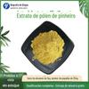Extrato de Pólen de Pinheiro 10:1 Extrato de pólen de pinheiro Pinus tabulaeformis em estoque Fornecimento de pólen de pinheiro 1kg em estoque