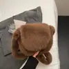 Bolsa Peluda para Mujer 2025 Otoño e Invierno Nuevo Estilo Color Sólido Bolso Pequeño Estilo Coreano Bolso Casual de Hombro Cruzado Bolso de Felpa para Mujer
