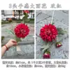 Nuevo Toque Hidratante Flor Artificial Fabricante Dalia Táctil de 3 Cabezas Peonía Amarilla Boda Decoración Suave Decoración del Hogar