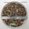 Xihuangcao Natural, Hierba Amarilla Dispersa, Hierba Amarilla, Té de Xihuangcao, Materiales Medicinales Chinos al por Mayor Té Xihuang 500g