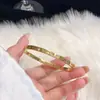 Pulseira Popular para Mulheres, Aço Titânio, Estrelado, High-End, Estilo Europeu e Americano, Luxo Leve, Elegante, Estilo Ins, Design de Nicho