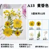 Paquete de Hojas de Flores Secas DIY Cristal Epoxi Paquete de Materiales de Flores Hechos a Mano Pegatinas de Flores Prensadas Materiales Plantas Decorativas Muestras Fotografía