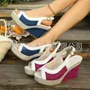 Sandalias de cuña de gran tamaño europeas y americanas transfronterizas, nuevas de otoño 2026 con suela gruesa de comercio exterior, sandalias romanas para mujer