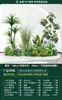 Set de Paisajismo Simulado para Exhibidores de Ventanas Interiores, Decoración de Escaleras, Paisaje de Plantas Verdes Simuladas, Arreglo de Jardín, Adornos de Decoración de Plantas en Maceta