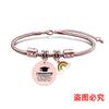 Pulsera europea y americana transfronteriza de acero inoxidable hueso de serpiente pulsera etiqueta temporada de graduación arcoíris regalo de vacaciones grabado pulsera de acero titanio