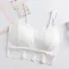 Sujetador de Copa Gruesa con Diseño de Espalda de Encaje, Escote de Encaje Floral Anti-Exposición, Pensado y Versátil, Levanta y Previene la Flacidez