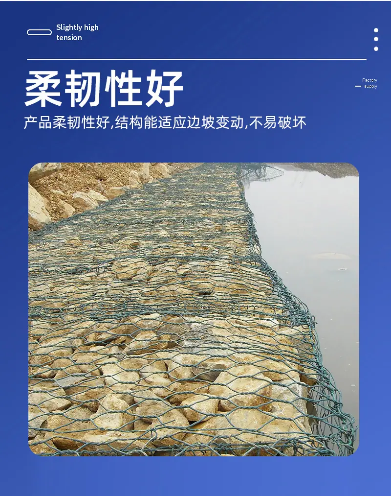 雷诺_09.jpg