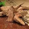Combinación Completa de Especias 50g: Condimento con Anís Estrellado, Rodajas de Jengibre Seco, Canela, Corteza de Canela, Condimento Casero para Estofar Carne, Clavo, Vaina de Vainilla