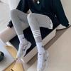 Pantalones de Tiburón para Mujer, Primavera y Otoño, Leggings de Abrigo, Tallas Grandes, Corte Ajustado, Nuevo Estilo 2026, Forro de Felpa, Cálidos, Pantalones Casuales