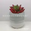 Maceteros de Cerámica Sencillos con Pintura Degradada para Suculentas Macetas Mini de Escritorio para Suculentas Fabricante Mayorista Plantas y Flores Verdes Transpirables