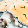 Manta para Pet Nova Estampa de Desenho Animado Colcha para Cachorro Veludo Coral Gato Tapete Especial para Dormir com Aquecimento no Outono e Inverno