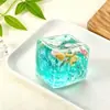 Bestseller transfronteiriço da Amazon e Temu: Brinquedo de apertar realista 3D de concha do oceano em TPR para alívio do estresse
