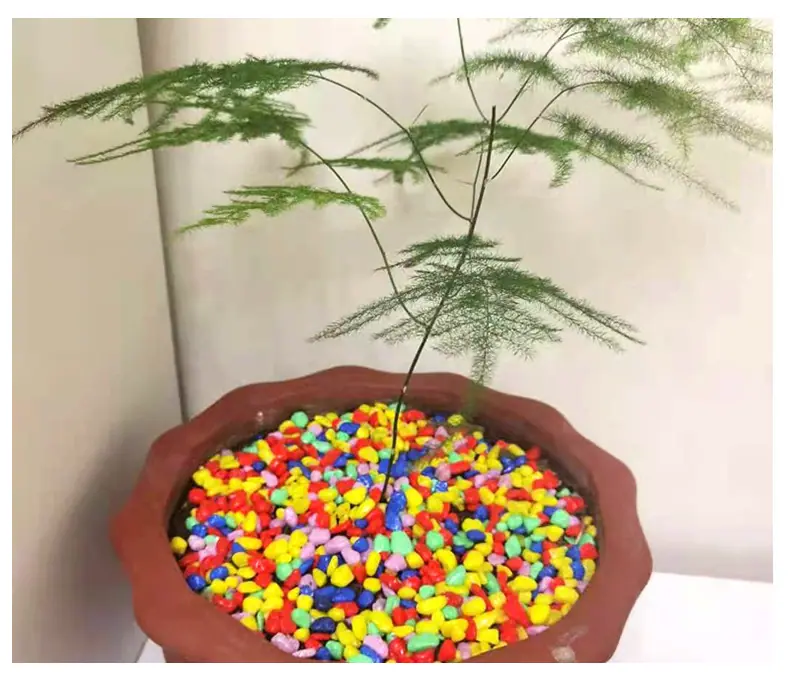 彩石子