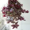 Plántulas de Cinta, Hiedra, Clorofito, Planta de Labial, Peonía, Planta de Cinta, Cinta Perla, Plantas Verdes Colgantes para Balcón de Interior
