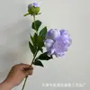 Nuevo Fénix de Dos Cabezas Peonía Flor de Peonía Decoración para Bodas Hoteles Hogares Centros Comerciales Material de Flores Decoración de Mesa