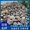 Piedras de Río al por Mayor, Piedras Naturales para Paisajismo, Piedras de Orilla de Río, Piedras Decorativas para Césped de Espacios Verdes Exteriores, Piedras Blandas de Río, Piedras para Paisajismo