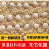 Huevos de pájaro loros mascota periquitos fertilizados huevos fertilizados incubadora educación científica huevos incubación artificial totalmente automática eclosión de huevos