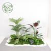 Paisajismo de Plantas Verdes Paisajismo de Balcones Decoración de Plantas Artificiales para Interiores y Exteriores Planta Viajera Plátano Espalda de Tortuga Planta Debajo de las Escaleras Paisajismo