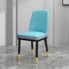 Suministro Directo de Fábrica Silla de Comedor para el Hogar Tocador Creativo Asiento para Uñas de Gel Silla de Hierro para Hotel Silla Simple de Ocio con Respaldo