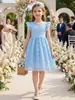Vestido Infantil de Gaze com Renda Comércio Exterior Diário Simples Saia de Florista Azul Vestido de Princesa para Menina