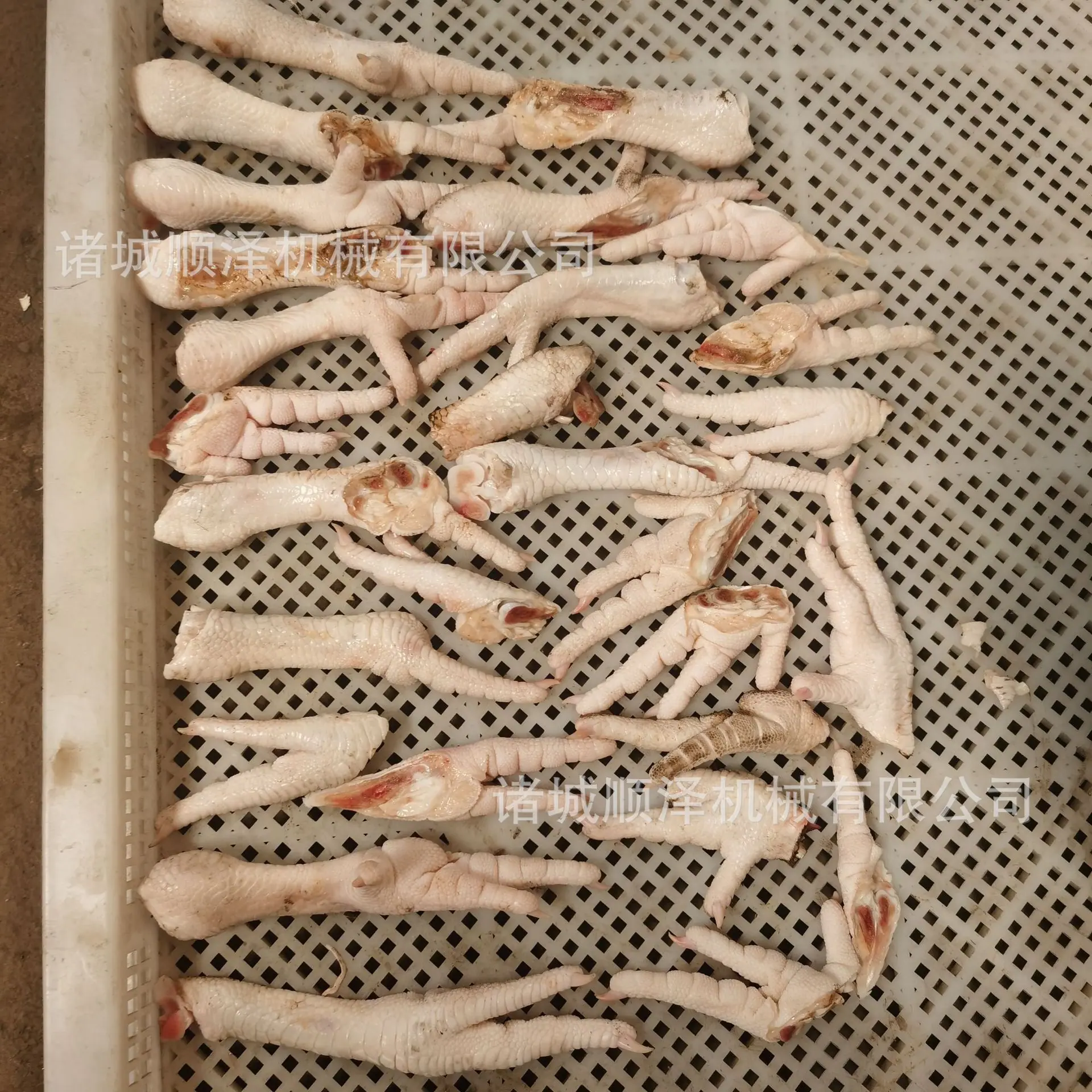 鸡爪加工设备