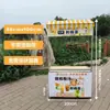Carrito de puesto plegable nieve raspada sushi salchicha a la parrilla helado carrito de snacks móvil puesto móvil carrito de puesto de mercado nocturno