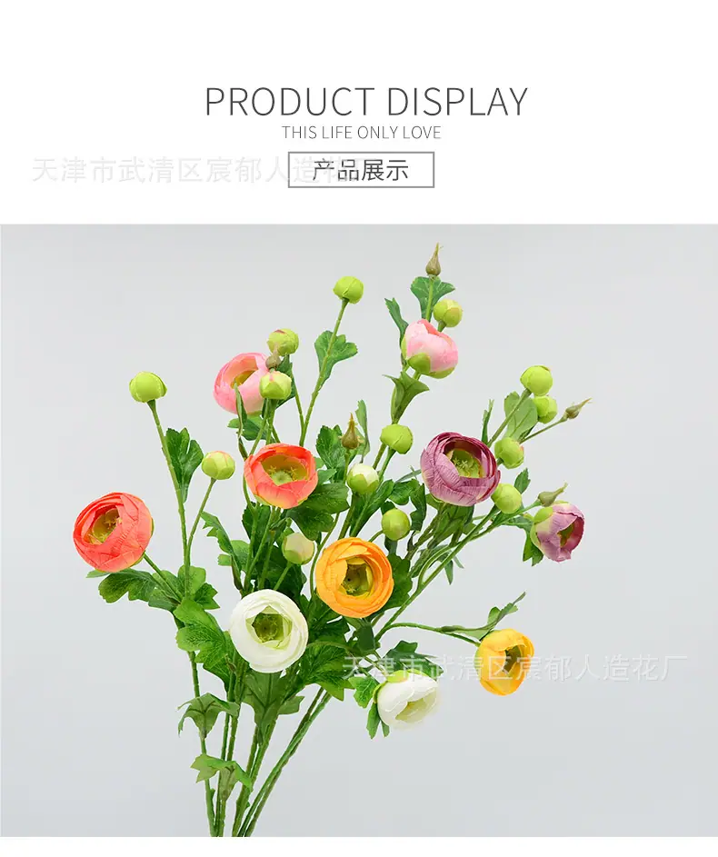详情_04.jpg