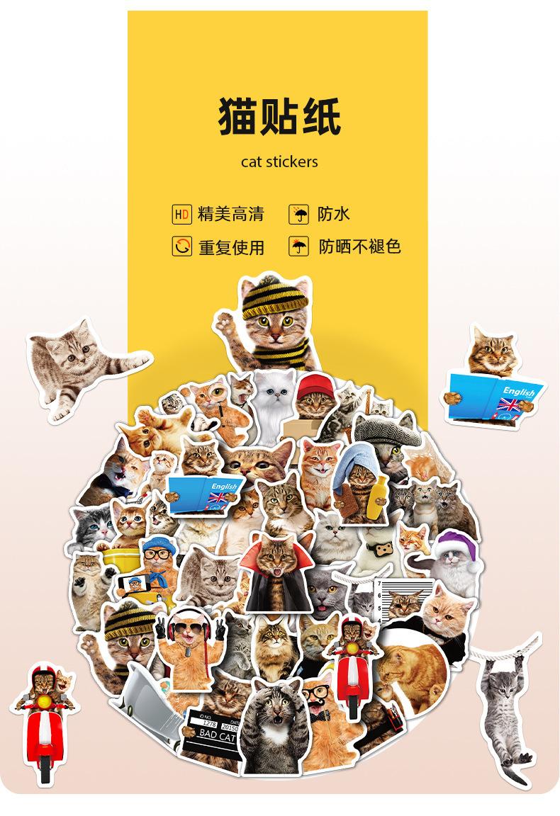 详情页_01.jpg