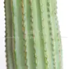 Cactus Rascacielos Plástico Simulación Cactus Plantas de Arena Tropical Celebridad de Internet Decoraciones para Casa de Huéspedes Restaurante