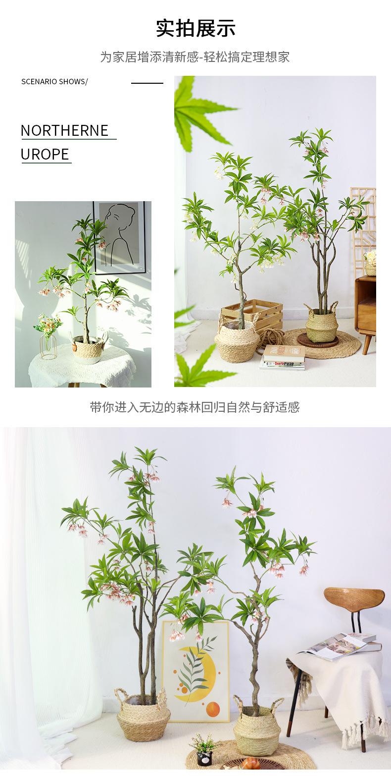 水石榕_10.jpg