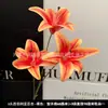 3 Flores de Lirio Simulación 3D Pequeño Libro Rojo Mismo recomendar Boda Decoración de Boda Flor Ventana Fotografía Paisaje