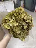 [Niebla Natural Hortensia] Flor Eterna Flor Seca Hortensia Anna Hortensia Lobular Material para Boda DIY Venta al por Mayor