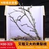 Árbol para paisajismo de acuario sudamericano, ramas secas, ramas de peral amarillo, decoración de sustrato, pecera pequeña, ramas naturales, decoración de paisajismo y paisajismo.