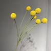 Flor artificial bola de ouro flor de martelo baqueta australiana crisântemo decoração para casa sala de estar simulação de flor falsa decoração de plantas