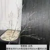 Ramas de sauce nevado, enredaderas, musgo para paisajismo, ramas de sauce nevado para colgar en la pared, brotes de sauce, líneas de enredaderas, decoración de bodas, ramas de sauce nevado de bajo mantenimiento