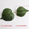 DIY Hecho a Mano Hoja Verde Mori Hoja Verde Tela de Seda Simulada Accesorios para Disparos de Hojas Caja de Regalo Pequeña