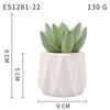 Planta Suculenta Simulada Macetas, Decoración de Muebles de Oficina Nórdicos, Nuevas Suculentas Bonsái Simuladas de Alta Calidad para el Hogar